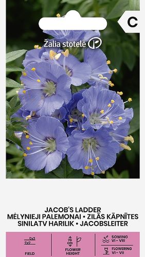Jacobs Ladder Seeds